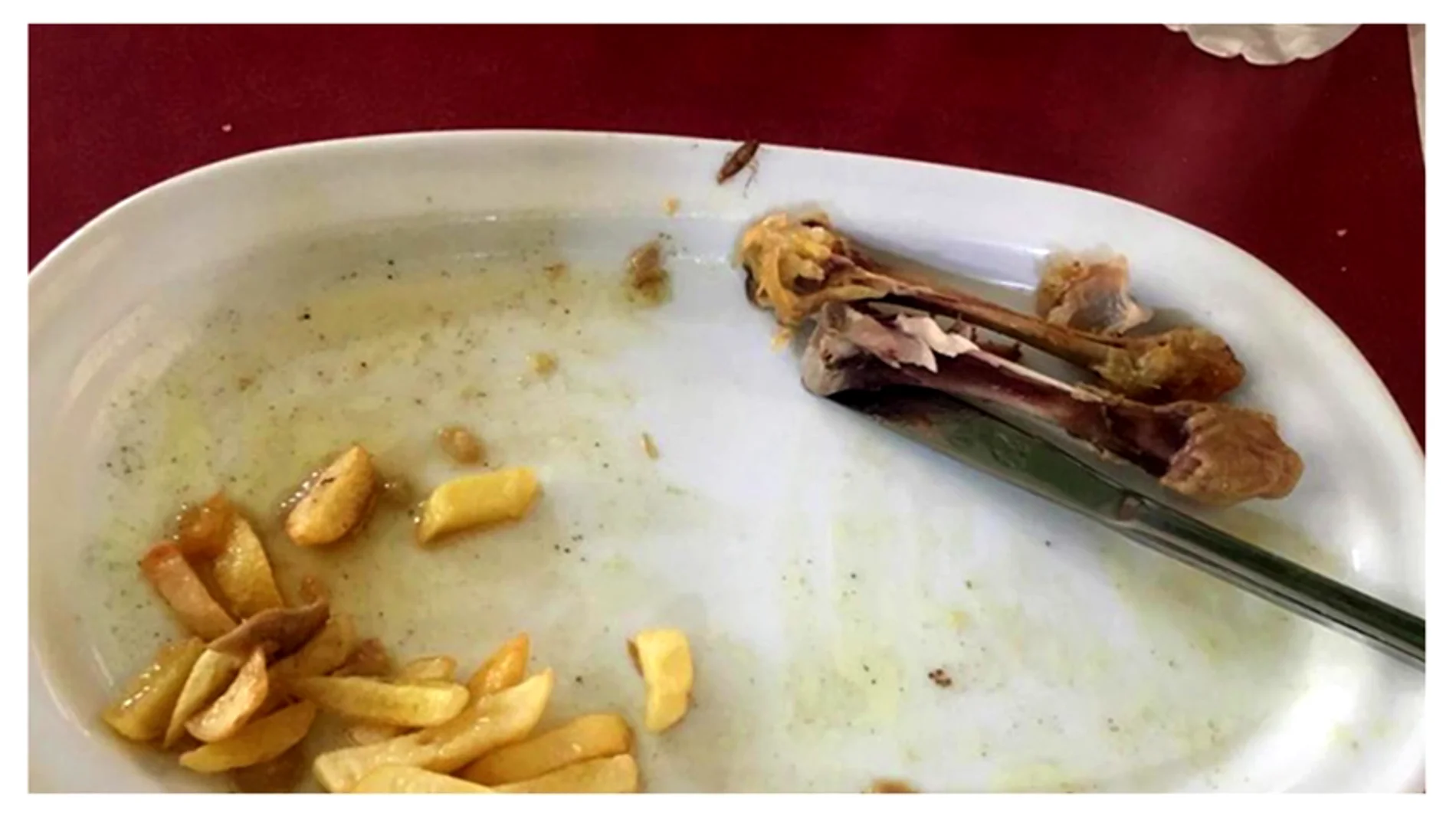Alberto Chicote ve fotos de la comida en el Ejército: "Hay una cucaracha roja en el plato"
