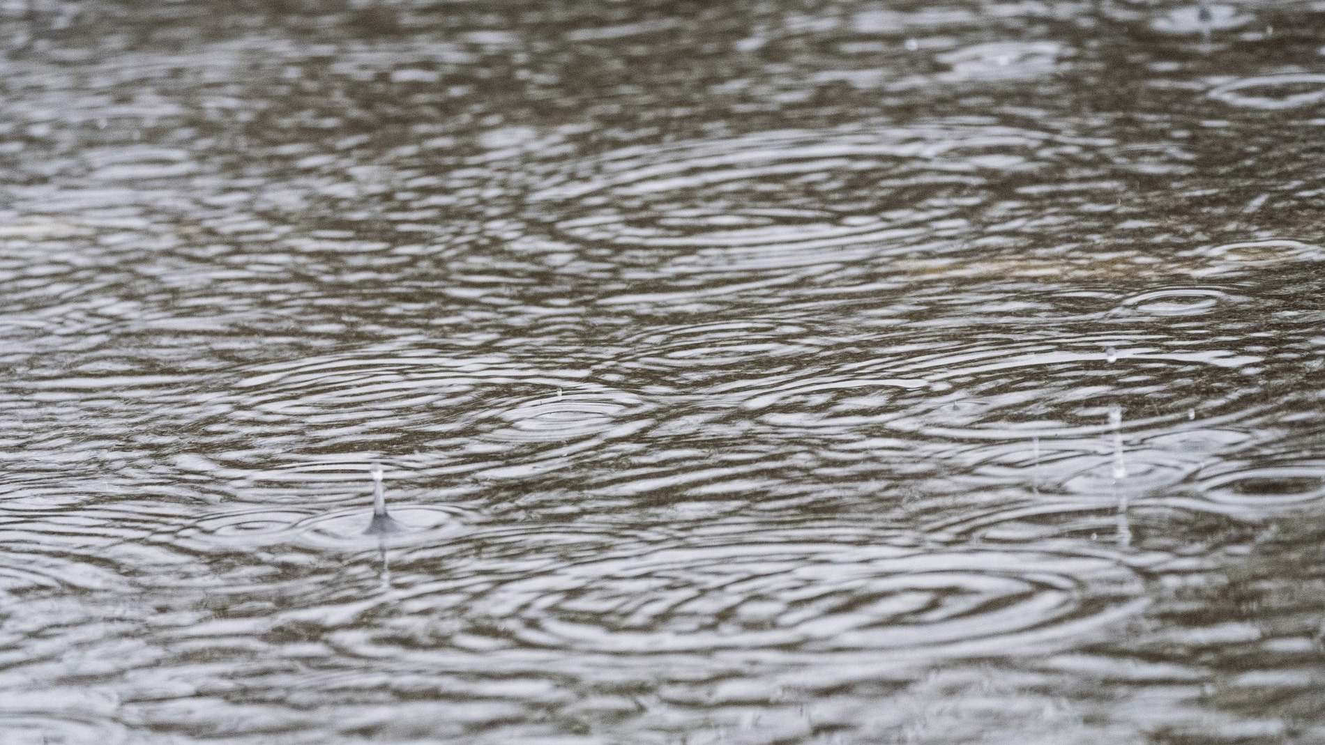 Las lluvias han dejado este año 335 litros en Ciudad Real