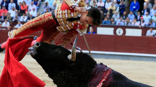 El torero Gonzalo Caballero tiene que ser operado de urgencia por una grave cogida en Las Ventas El torero Gonzalo Caballero tiene que ser operado de urgencia por una grave cogida en Las Ventas