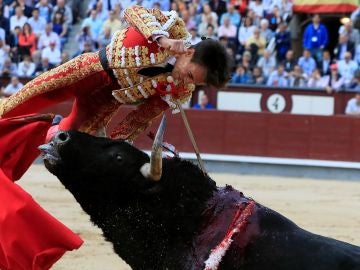 El torero Gonzalo Caballero tiene que ser operado de urgencia por una grave cogida en Las Ventas El torero Gonzalo Caballero tiene que ser operado de urgencia por una grave cogida en Las Ventas