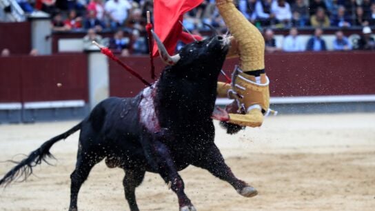 El torero Gonzalo Caballero durante una cogida
