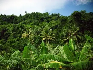 Medioambiente Medioambiente