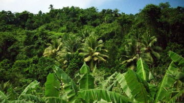 Medioambiente