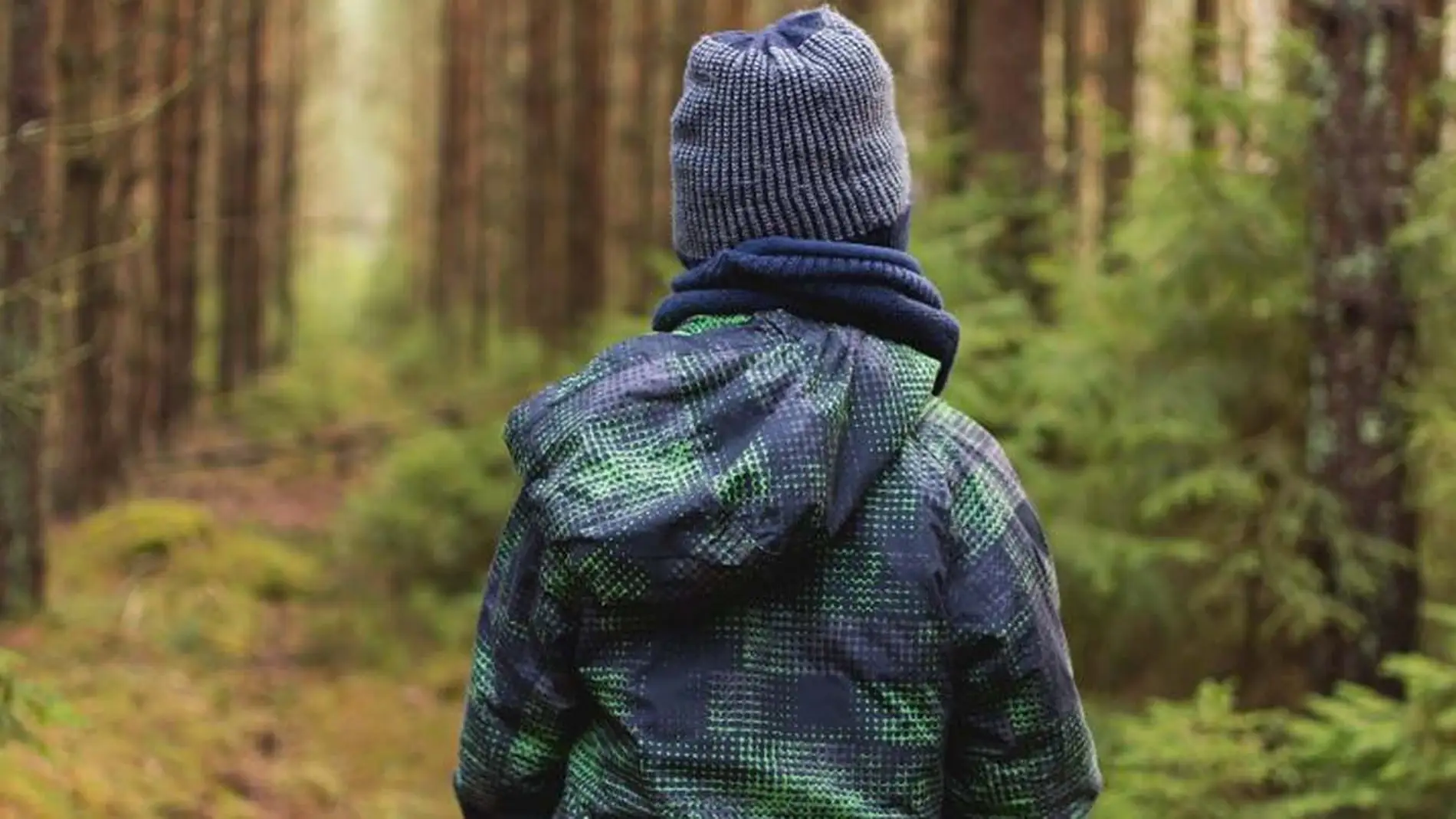 niño en un bosque