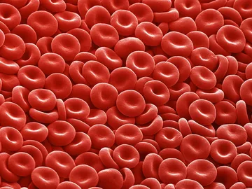 Sangre artificial Sangre artificial