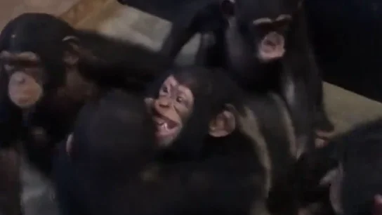 Leo abrazando a sus nuevos amigos Leo abrazando a sus nuevos amigos