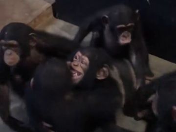 Leo abrazando a sus nuevos amigos Leo abrazando a sus nuevos amigos