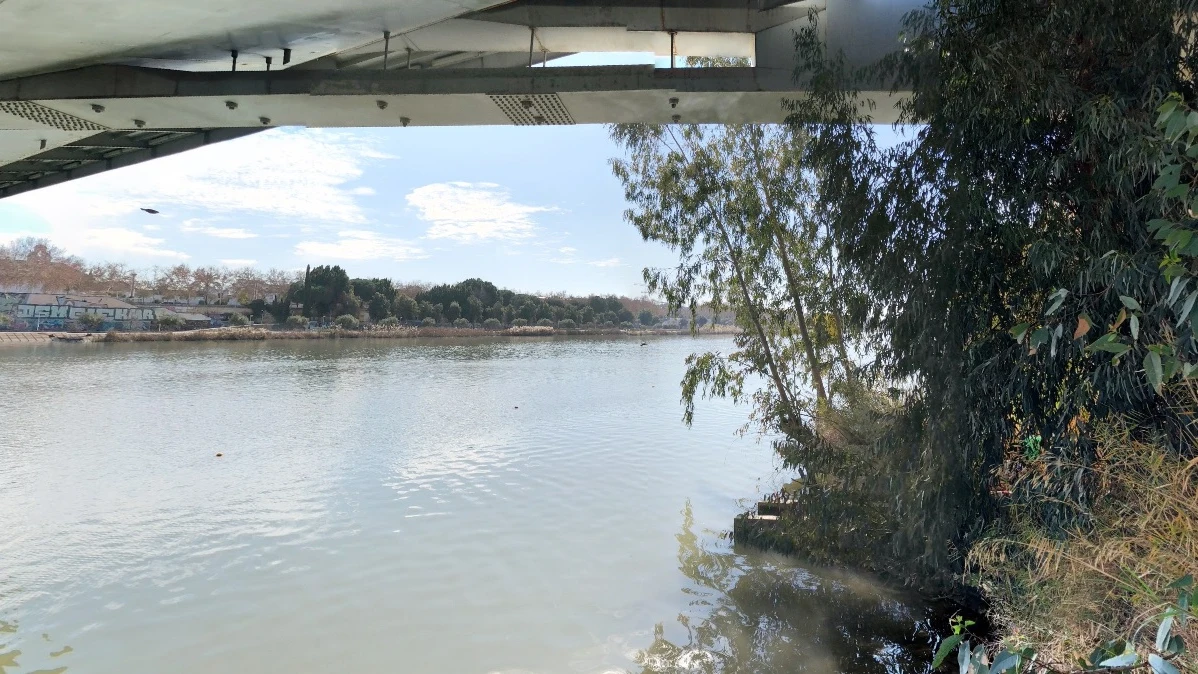 Inmediaciones de los Jardines del Guadalquivir en Sevilla Inmediaciones de los Jardines del Guadalquivir en Sevilla