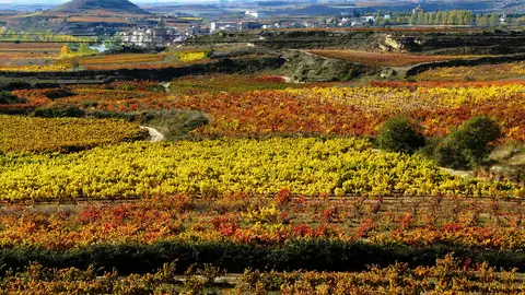 Rioja Alta Rioja Alta