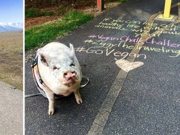 Acciones en el Vegan Chalking Acciones en el Vegan Chalking