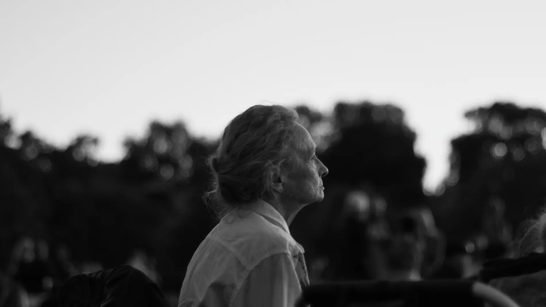 Imagen obtenida de https://www.pexels.com/photo/person-on-bench-1389589/. Autor: Kevin Bidwell
