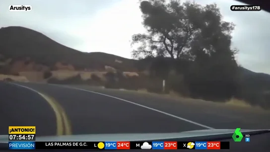 Pierde el control de su vehículo Tesla en un barranco tras activar el piloto automático Pierde el control de su vehículo Tesla en un barranco tras activar el piloto automático