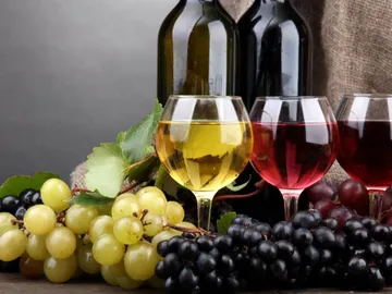 Vinos Vinos