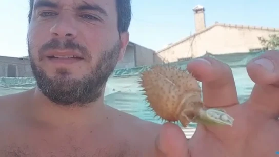 El candidato de Vox en Moguer, Luis Mántaras El candidato de Vox en Moguer, Luis Mántaras