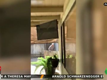 Graba a un jardinero intentando defecar en el patio de su casa Graba a un jardinero intentando defecar en el patio de su casa
