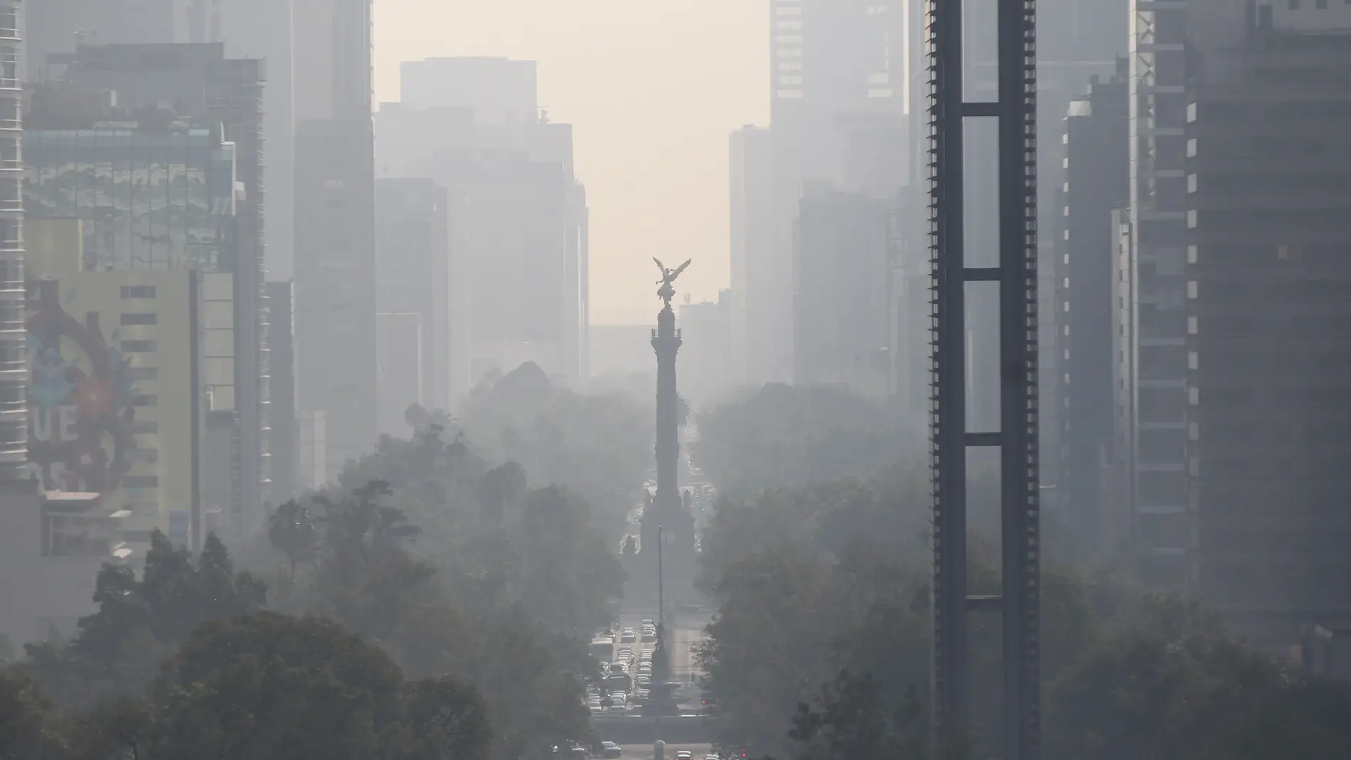 Asi afecta la contaminacion a la formacion de los organos en el utero