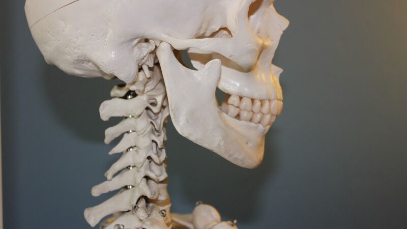 No tienes la misma cantidad de huesos en el cuerpo que cuando naciste