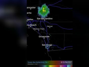 Nube de mariquitas migrando a través de California Nube de mariquitas migrando a través de California