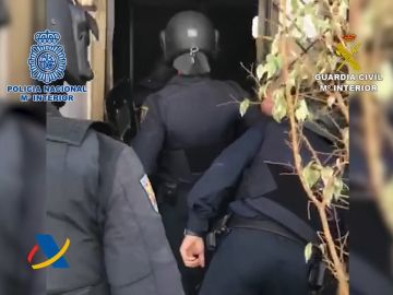 Cae una red de narcotráfico que introducía cocaína a través del Puerto de Algeciras Cae una red de narcotráfico que introducía cocaína a través del Puerto de Algeciras