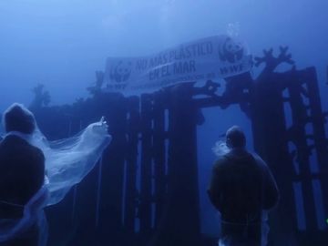 La ONG 'WWF' protesta así contra la presencia excesiva de plásticos en los océanos La ONG 'WWF' protesta así contra la presencia excesiva de plásticos en los océanos