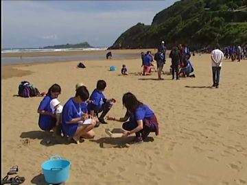 Más de 500 voluntarios limpian diez playas españolas Más de 500 voluntarios limpian diez playas españolas
