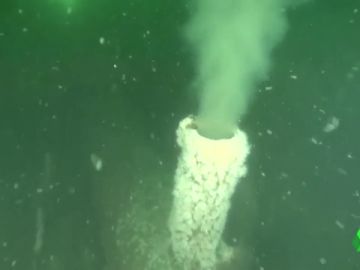 La Ría de Pontevedra contiene tubos que expulsan residuos de 125.000 habitantes La Ría de Pontevedra contiene tubos que expulsan residuos de 125.000 habitantes