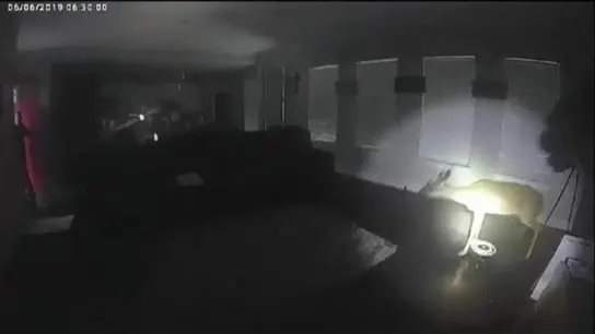 Imagen del ciervo en el interior de la casa Imagen del ciervo en el interior de la casa