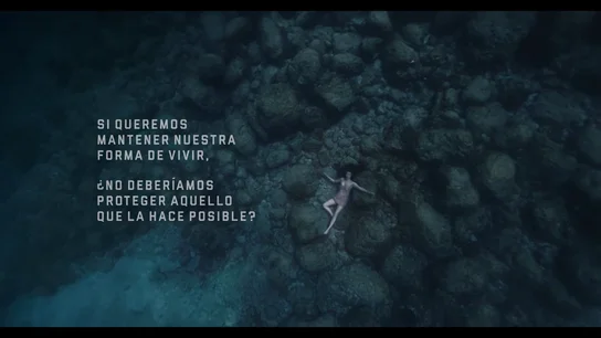 El nuevo anuncio de Estrella Damm sobre la protección del Mediterráneo que remueve conciencias El nuevo anuncio de Estrella Damm sobre la protección del Mediterráneo que remueve conciencias