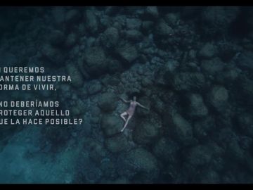 El nuevo anuncio de Estrella Damm sobre la protección del Mediterráneo que remueve conciencias El nuevo anuncio de Estrella Damm sobre la protección del Mediterráneo que remueve conciencias