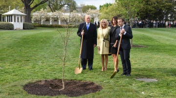 Trump, Macron y sus respectivas esposas plantando el roble