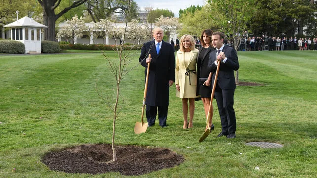 Trump, Macron y sus respectivas esposas plantando el roble