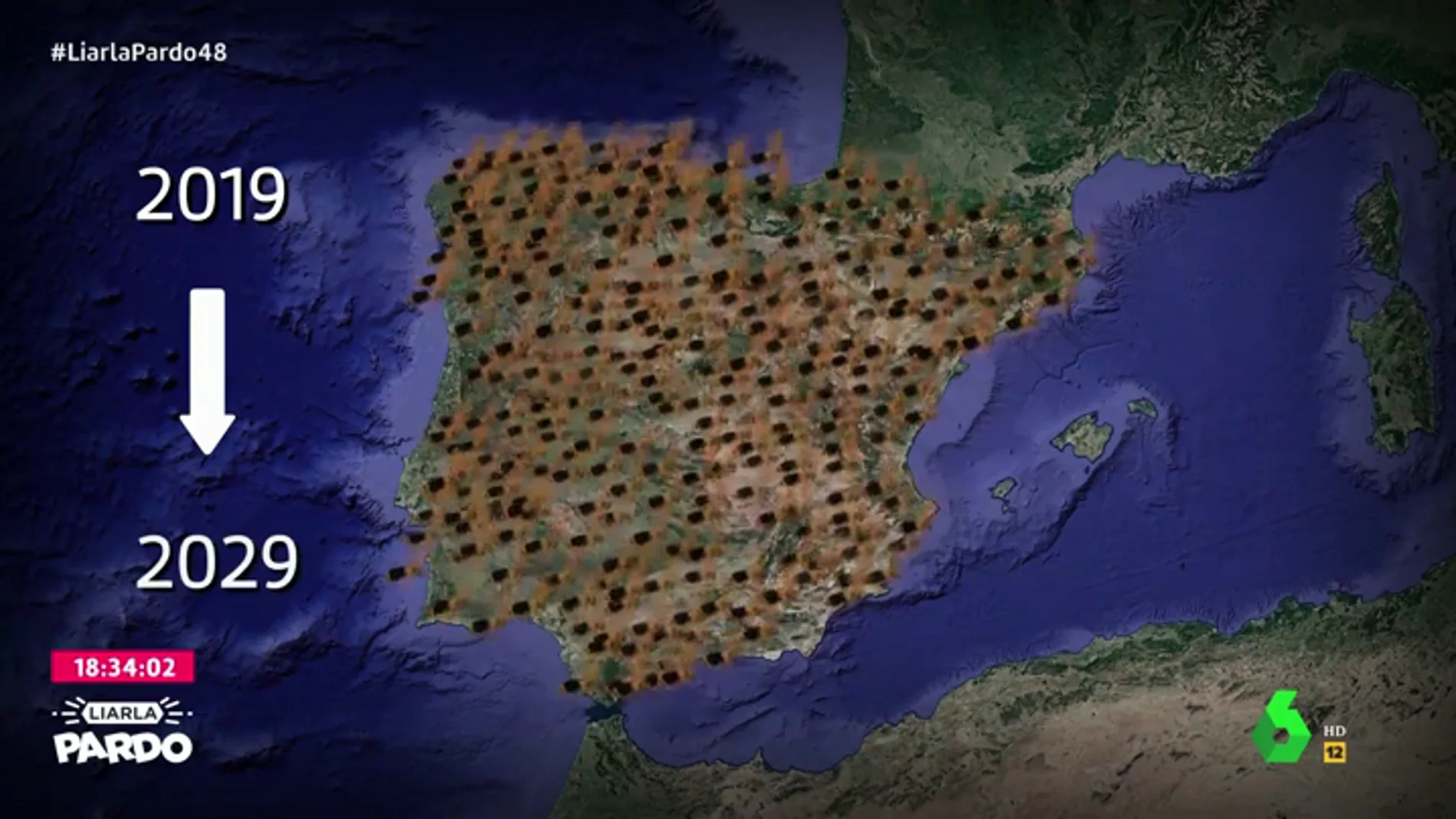 La avispa asiática tardará solo diez años en invadir toda España