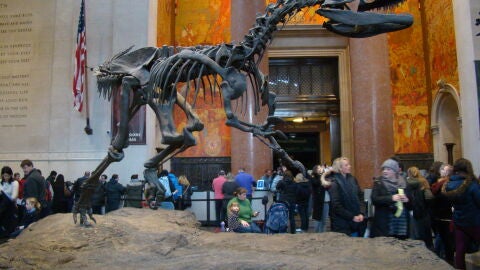 Museos - Nueva York