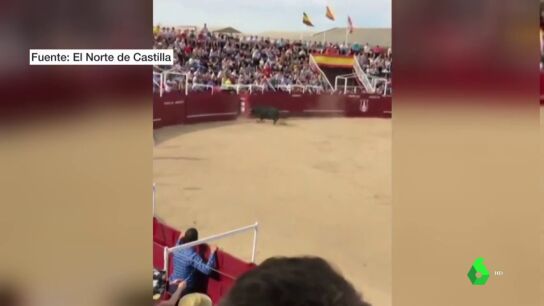 El impactante v&iacute;deo de la cogida mortal a un torilero en la plaza de toros de Benavente