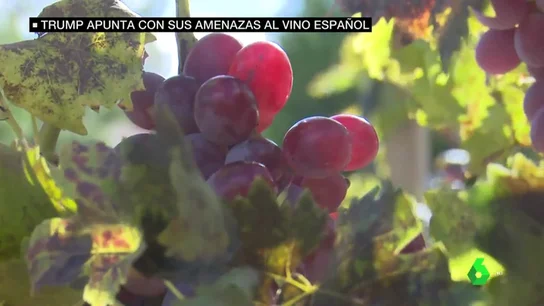 VINO VINO