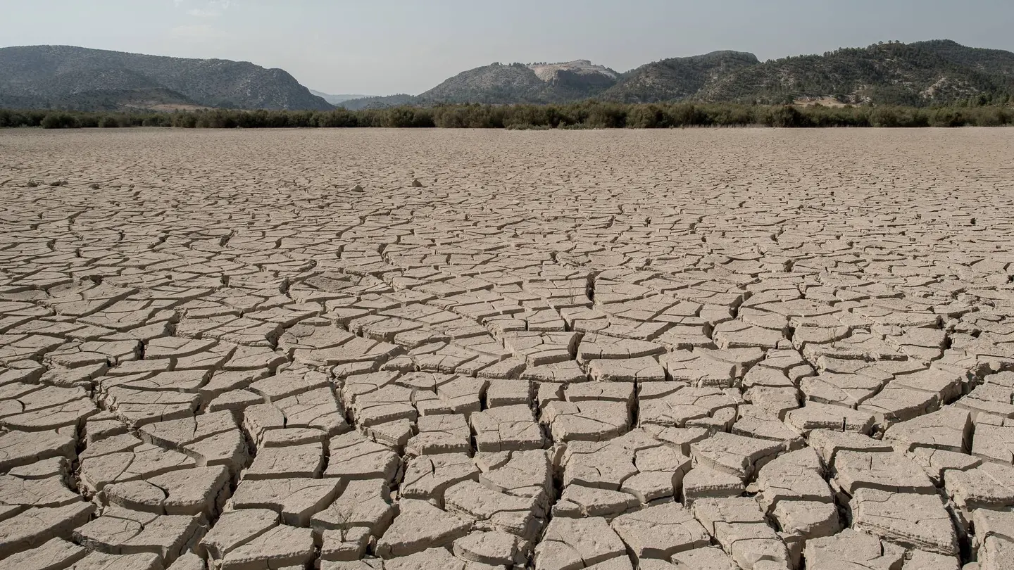 Desertificación Desertificación
