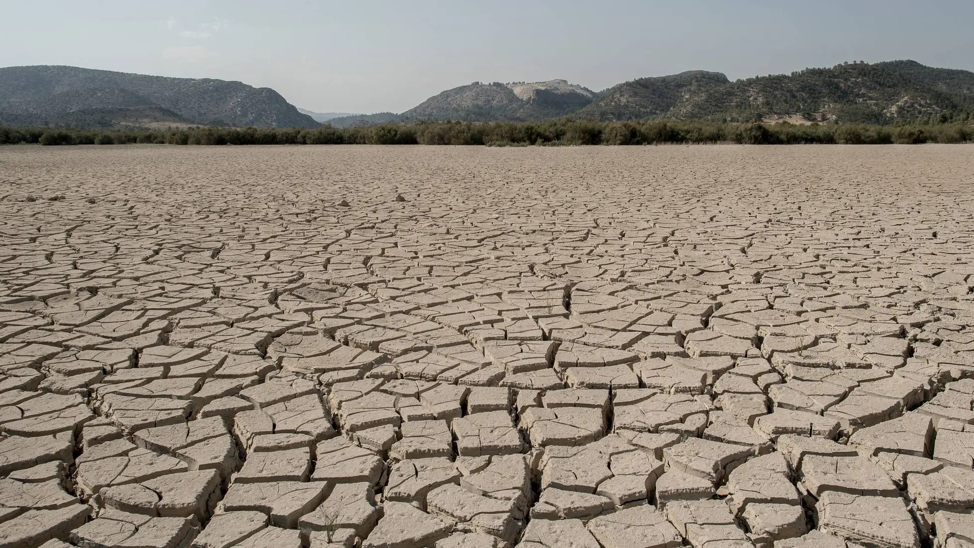 Desertificación