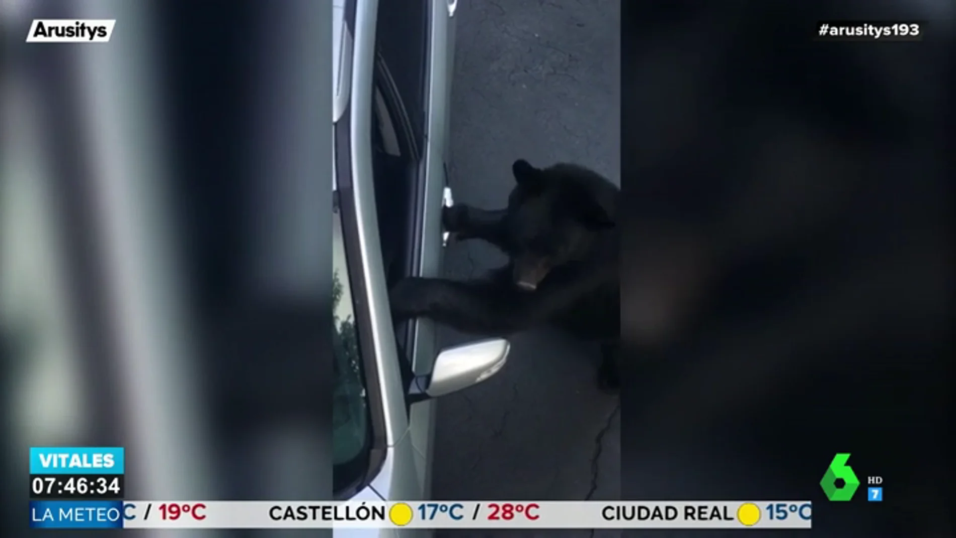 El vídeo que demuestra que un oso puede abrir sin problemas las puertas de tu coche