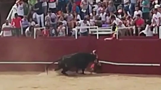 Imagen de la cornada mortal en Benavente, Zamora Imagen de la cornada mortal en Benavente, Zamora