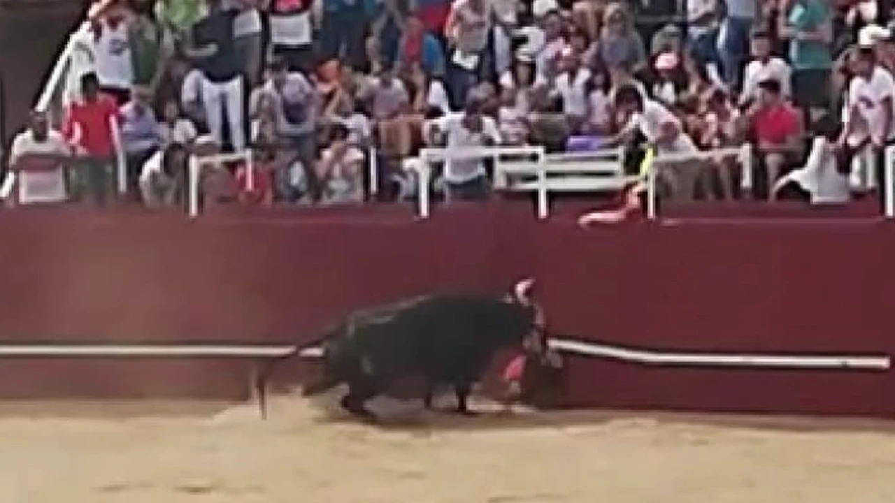 Imagen de la cornada mortal en Benavente, Zamora