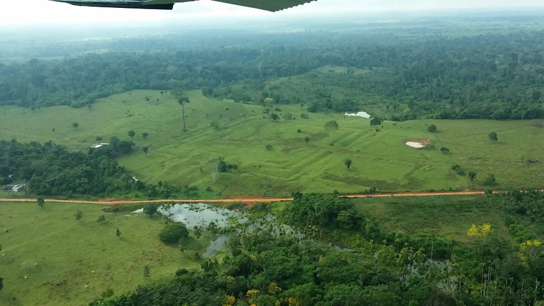 El cambio climatico impacto en la Amazonia antes de la llegada de los europeos