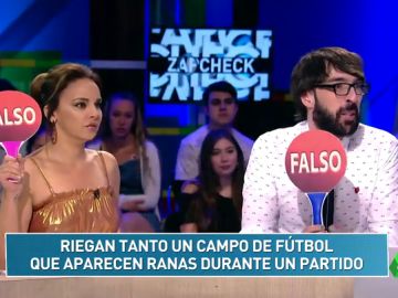 Aparecen ranas en un campo de fútbol tras regar mucho el césped y otras noticias del Zapckech de Cristina Pedroche Aparecen ranas en un campo de fútbol tras regar mucho el césped y otras noticias del Zapckech de Cristina Pedroche