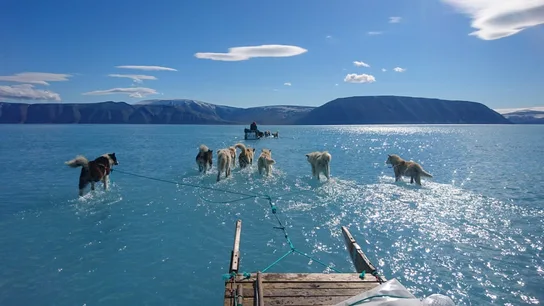 Perros arrastrando por el agua un trineo en Groenlandia Perros arrastrando por el agua un trineo en Groenlandia