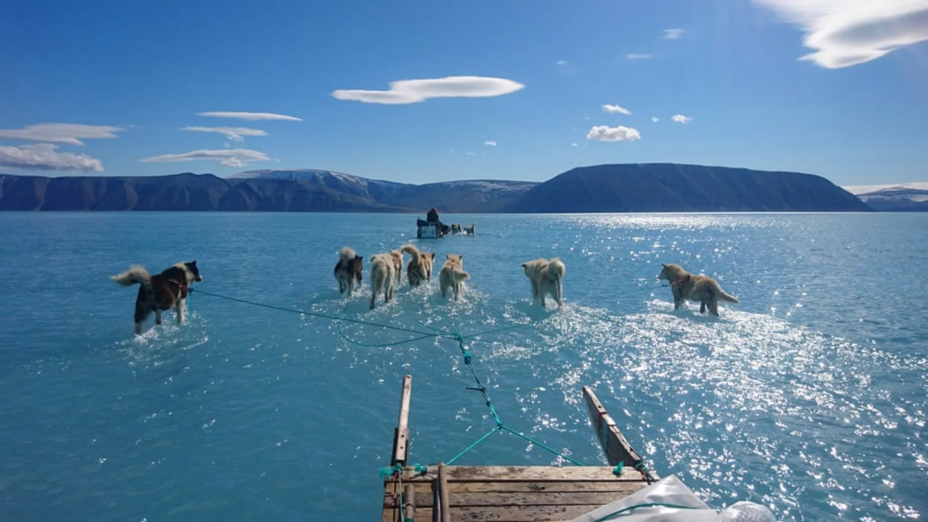 Perros arrastrando por el agua un trineo en Groenlandia