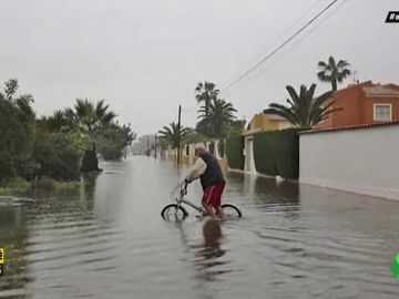 Abandono, cucarachas y okupas: así están hoy los apartamentos de Torrevieja que regalaba el 'Un, dos, tres' Abandono, cucarachas y okupas: así están hoy los apartamentos de Torrevieja que regalaba el 'Un, dos, tres'