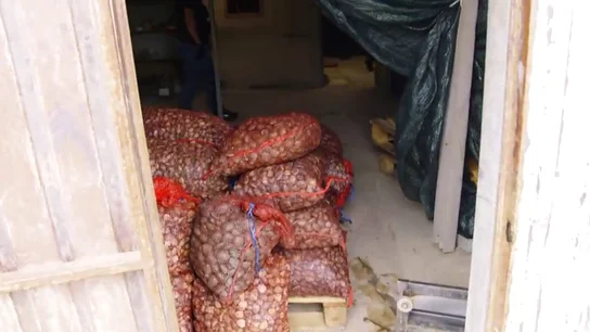 Chicote se adentra en un dispositivo policial contra el tráfico de almejas ilegales: "Aquí se mueve mucho dinero" Chicote se adentra en un dispositivo policial contra el tráfico de almejas ilegales: "Aquí se mueve mucho dinero"