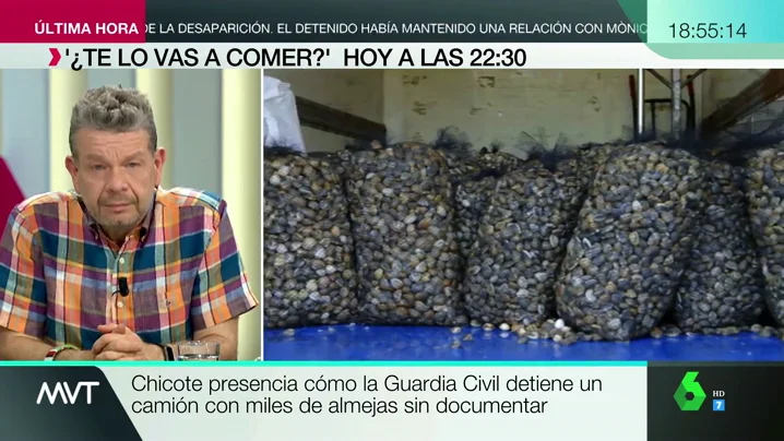 Chicote destapa el marisco ilegal en España: "Entran miles de kilos de almejas de playas cerradas por contaminación" Chicote destapa el marisco ilegal en España: "Entran miles de kilos de almejas de playas cerradas por contaminación"