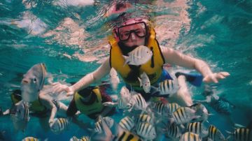 snorkel