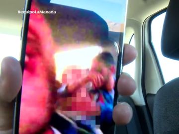 'La Manada' en Pozoblanco 'La Manada' en Pozoblanco