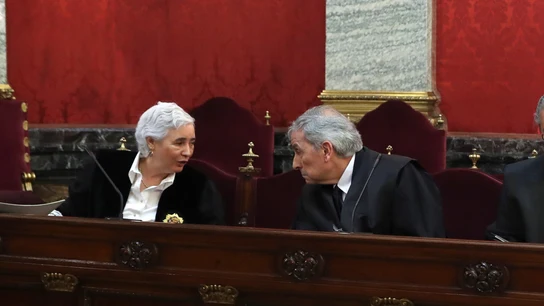 La Fiscal en la vista sobre 'La Manada' en el Supremo La Fiscal en la vista sobre 'La Manada' en el Supremo